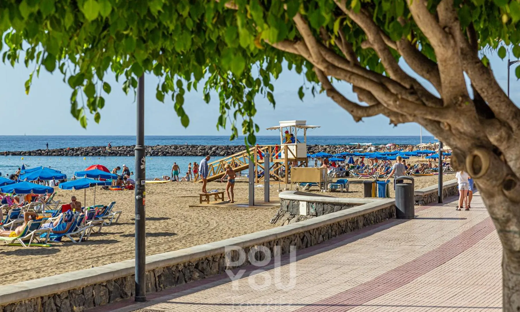 Apartment Paraiso Royal Arona  Arona (Tenerife)