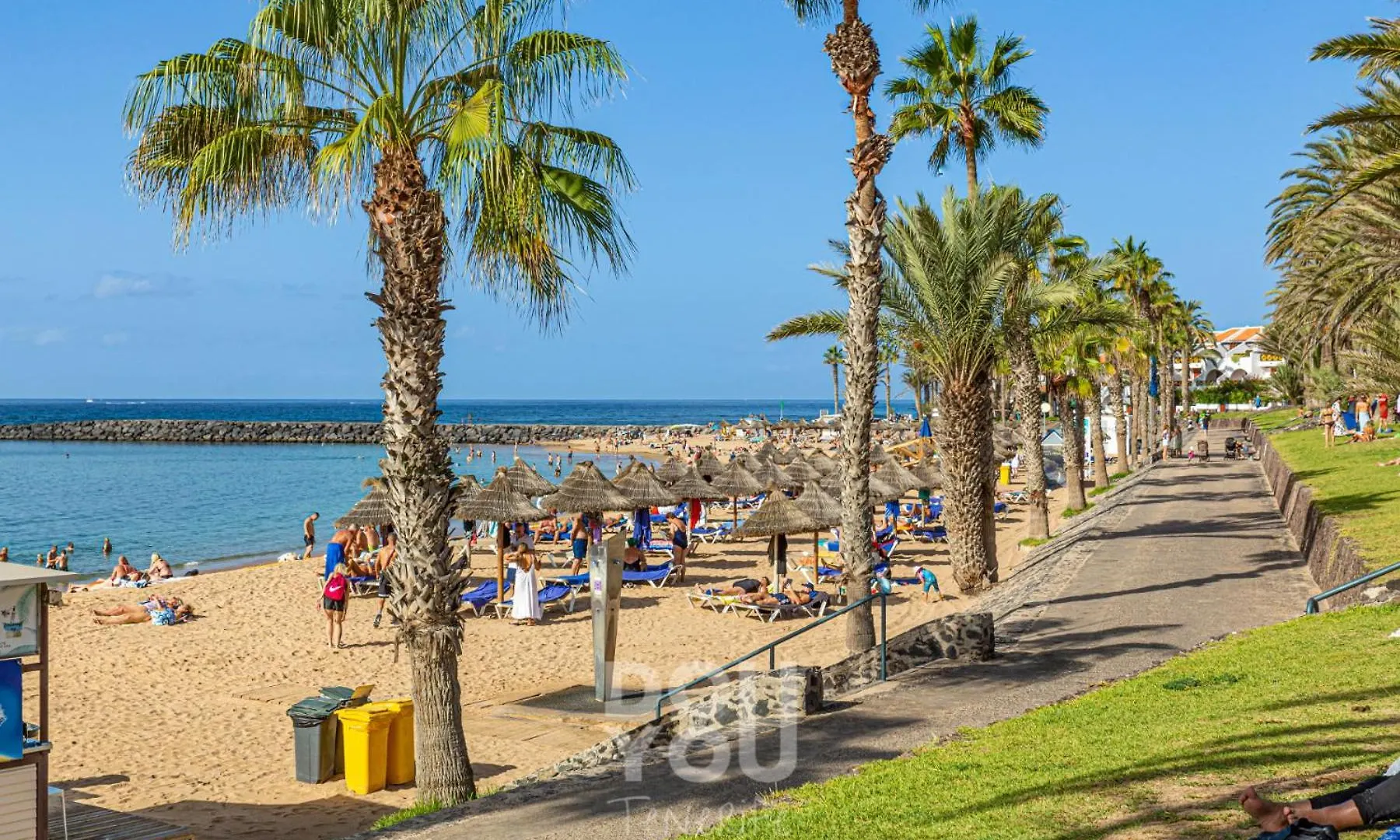 Apartment Paraiso Royal Arona  Arona (Tenerife)